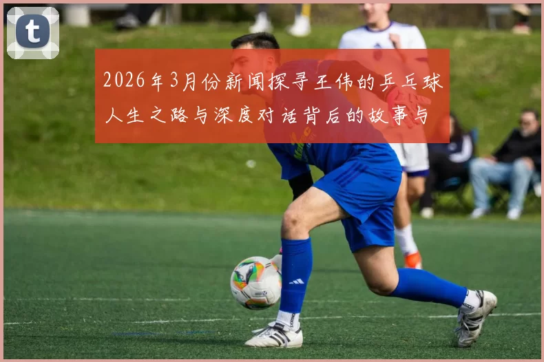 2026年3月份新闻探寻王伟的乒乓球人生之路与深度对话背后的故事与启示